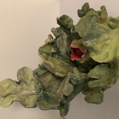  | Sprouts