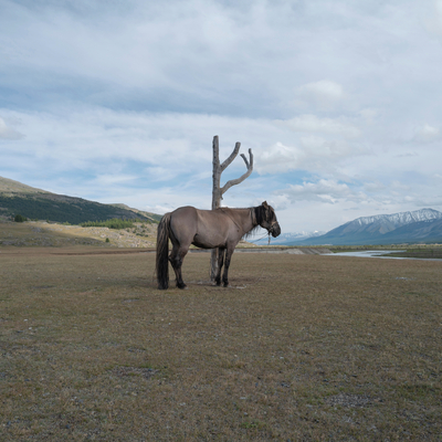  | Mongolia &mdash; Riposo