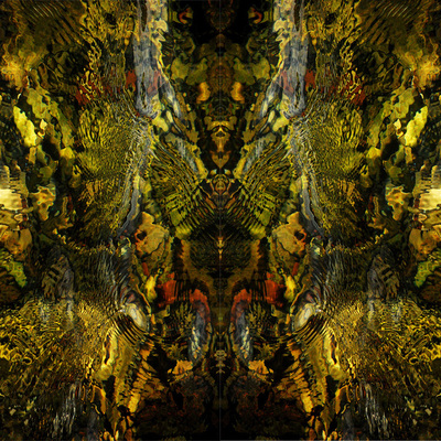  | metamorfosi quadruplice, Notre Dame, 2021