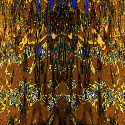  | metamorfosi quadruplice, velluto, 2021