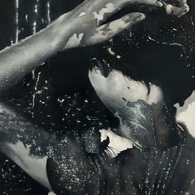 Elisa Ziero | Luminescence