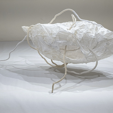 Elisabetta Cameli | Invaso