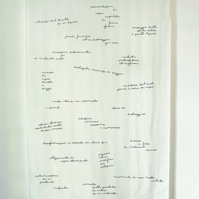 Fabiola Zero | Quel che ho visto e sentito