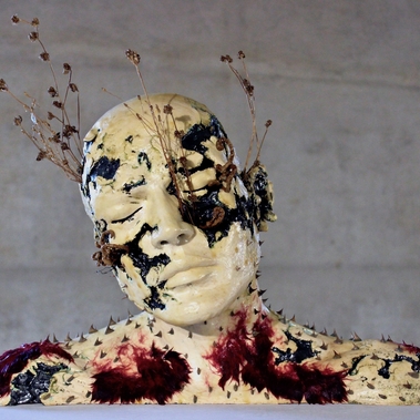 Francesco Niccoli Stultus | Primus Homo Rex