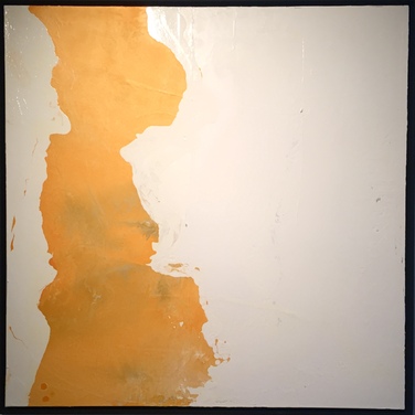 Franco Tosi | Evolution