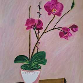  | Orqu&iacute;deas