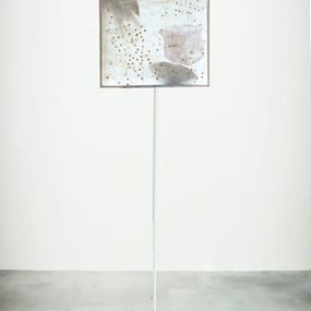 Giorgia Contin | Danae