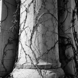  | Il Terzo Paesaggio, Cimitero Monumentale Torino, 2023.
