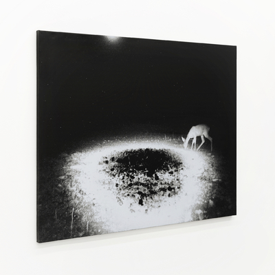  | Trapped (vista laterale)