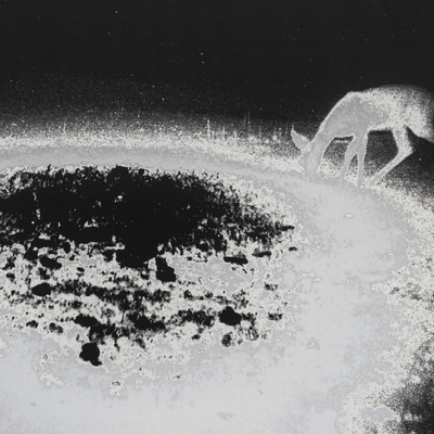  | Trapped (dettaglio)