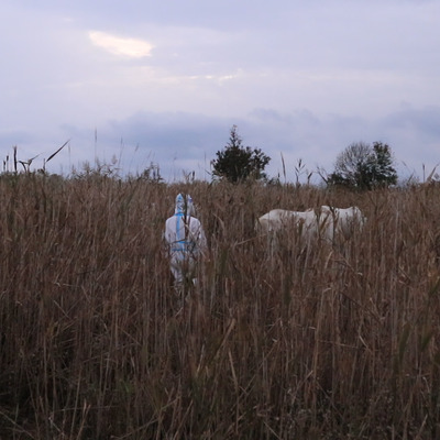 | Postcard from Anthropocene