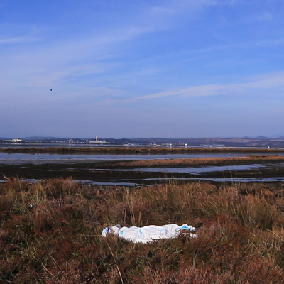  | Postcard from Anthropocene