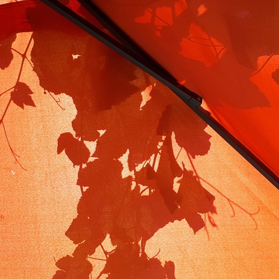  | Ombre rosse