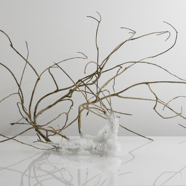 Michela Longone | Foreste