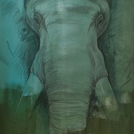  | Elefante