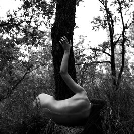  | Metamorfosi