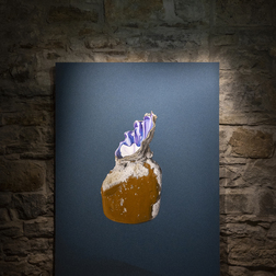 Ricardo Aleodor Venturi | CONCHIGLIO – A mezzanotte un sasso e una conchiglia si incontrano / At midnight a stone and a shell meet
