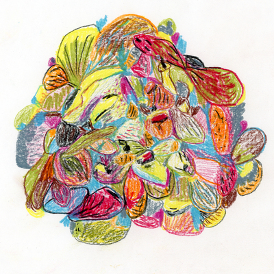  | Paesaggi organici, studio