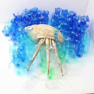 Stefano Zaratin | Pagurus plasticae