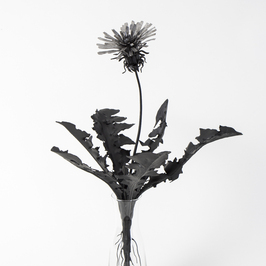  | Still life (Taraxacum nigrum)