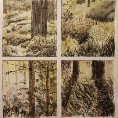  | Scorci di bosco / Glimpses of a wood (2020)