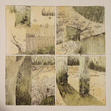 Tomaso Barbon | Scorci di bosco / Glimpses of a wood (2023)