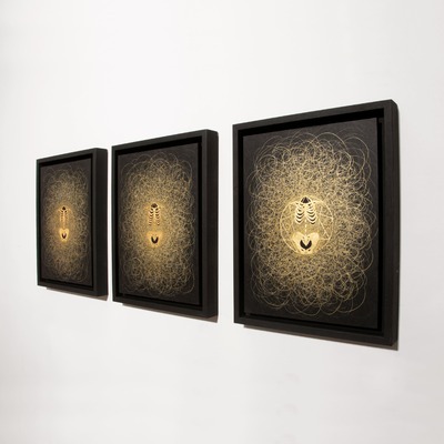  | Decomposizione sottile - Enneagramma (side view)