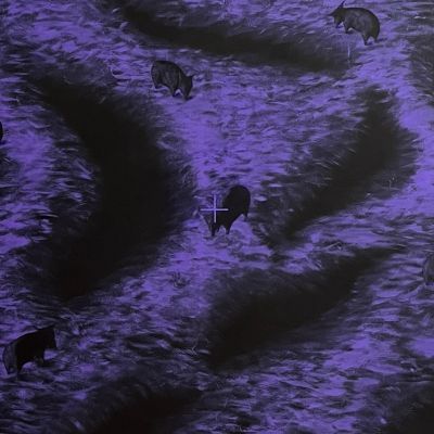  | Dettaglio - Tutti gli animali sono uguali