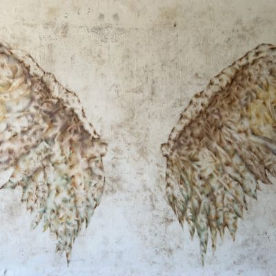  | Wings