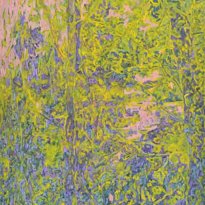  | Terra d&rsquo;isola a nord