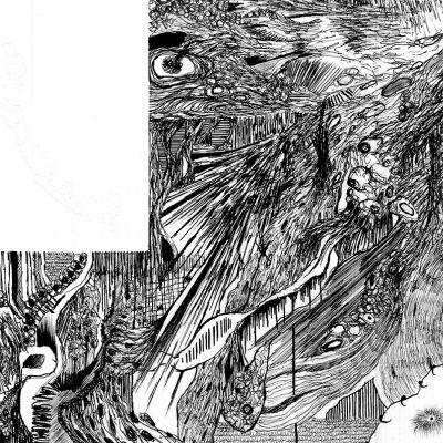 | Criptogenetica VI - Dettaglio 1