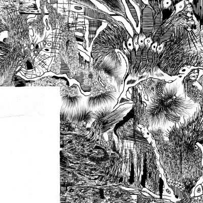  | Criptogenetica VI - Dettaglio 2