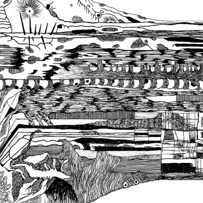  | Criptogenetica VI - Dettaglio 3