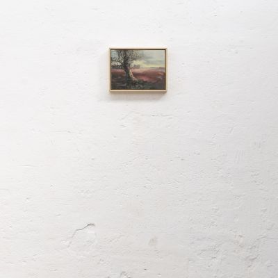  | Passeggiata a natale