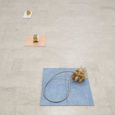  | EXCAVATİON OF THE SOLARIS