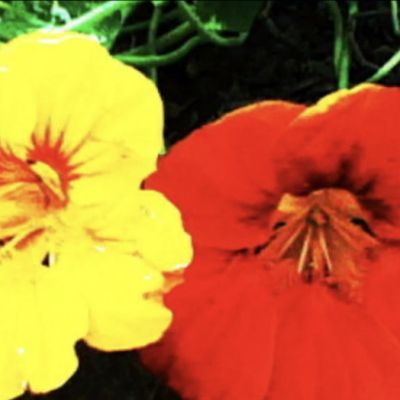  | still 01 of What It Was To Be Me