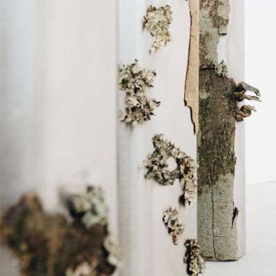  | Collection Vivant