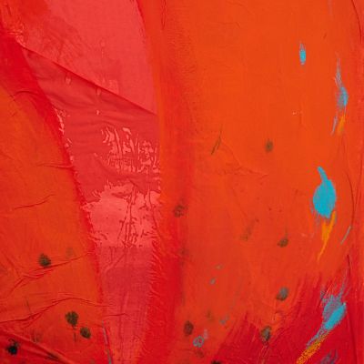  | Mohn #2 (Detail), 2019