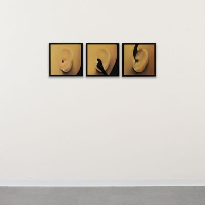  | Tentativo di rallentare il flusso di immagini prodotte dal web