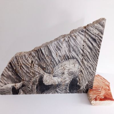  | Fossile di memoria n.1