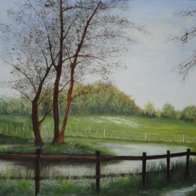 | Campagna Inglese