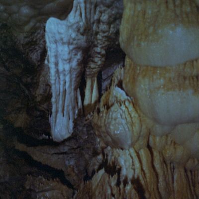  | For absence and surplus alike, a single motion of the neck