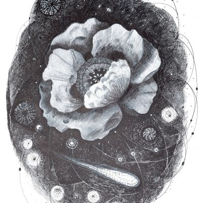  | Giardino cosmico
