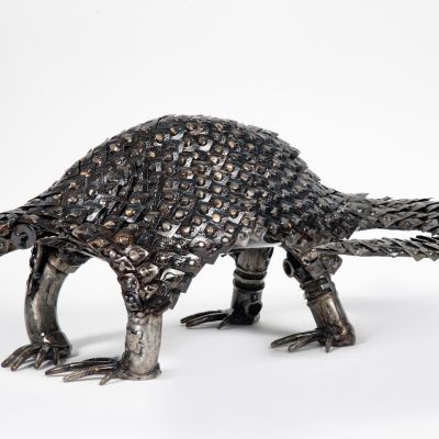  | Pangolin